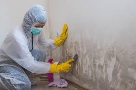 Why You Should Choose Our Mold Remediation Services in Sangaree, SC